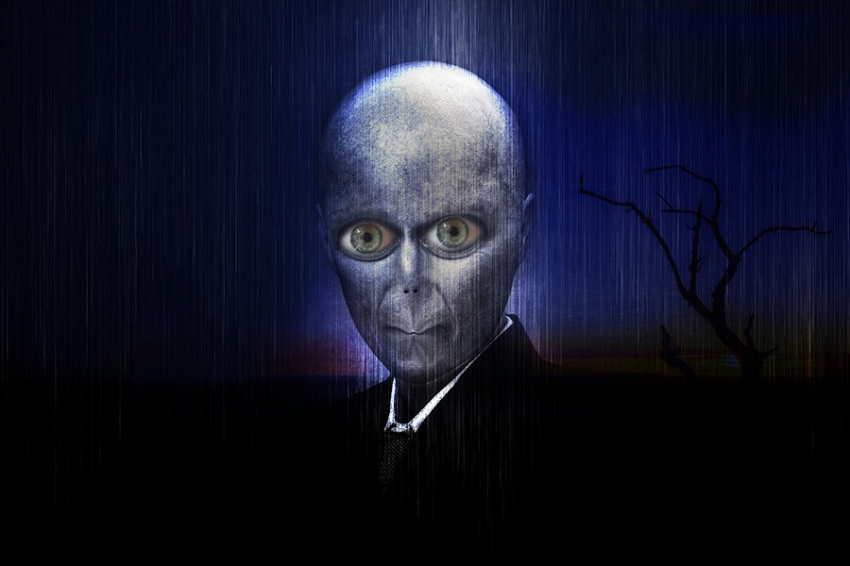 Западная политическая элита: вы кто такие, вообще?