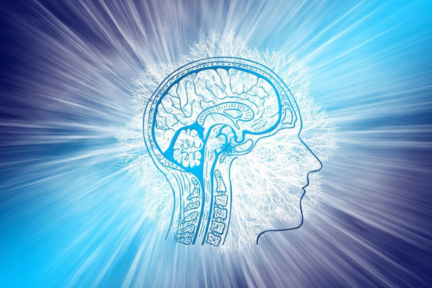 Неустанное стремление к производительности искажает работу мозга