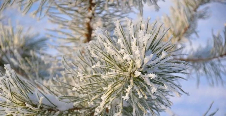 Что можно и нельзя делать в народно-христианский праздник 26 ноября 2024 года по приметам