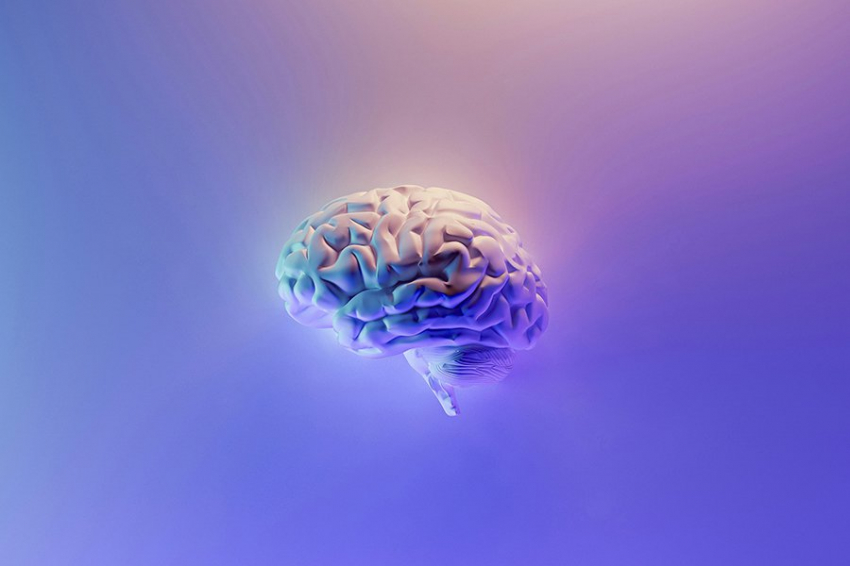 Мозг действует как музыкальная шкатулка, проигрывающая разные модели поведения