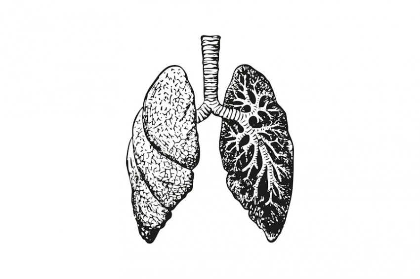 Озон против сепсиса: китайские ученые нашли ключ к спасению легких