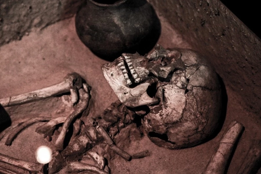 Ученые наконец поняли, кому принадлежал предполагаемый череп сестры Клеопатры