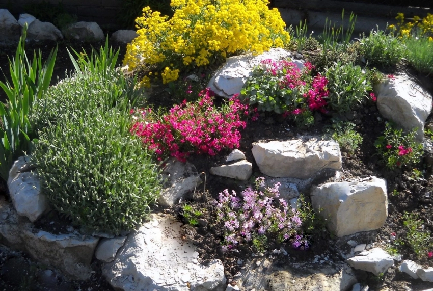 Идеи дизайна клумбы из камней для цветов: как сделать ее своими руками