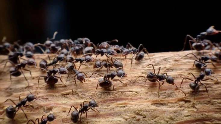 Приметы и поверья на 22 июня 2025 года помогут узнать, какая будет погода в ближайшее время и урожай