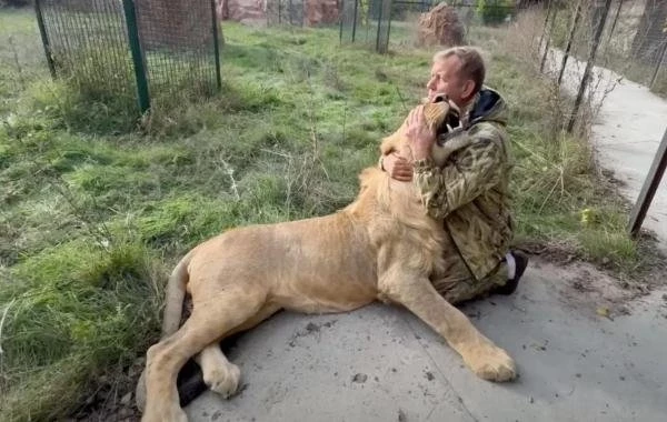 Стало известно нынешнее состояние здоровья Олега Зубкова: свежие детали на 25.06.2025