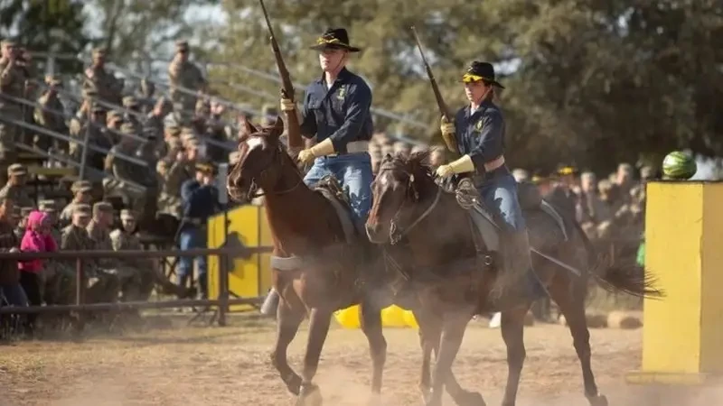 Армия США сокращает программу по содержанию лошадей