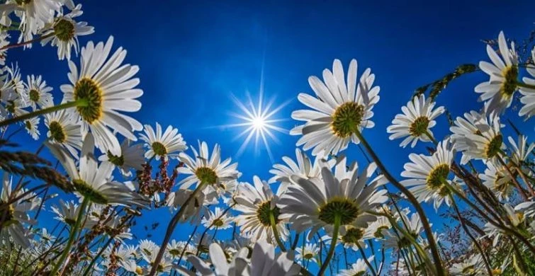 Финогеев день 29 июля 2025 года имеет оригинальные приметы, поверья и традиции