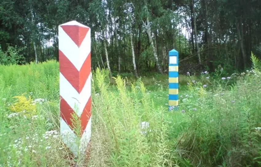 «За что стоял майдан?» - в польском Сейме призвали ликвидировать безвиз с Украиной