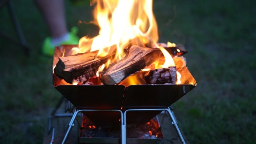 Секрет вкусного и сочного шашлыка: на каких дровах жарить мясо